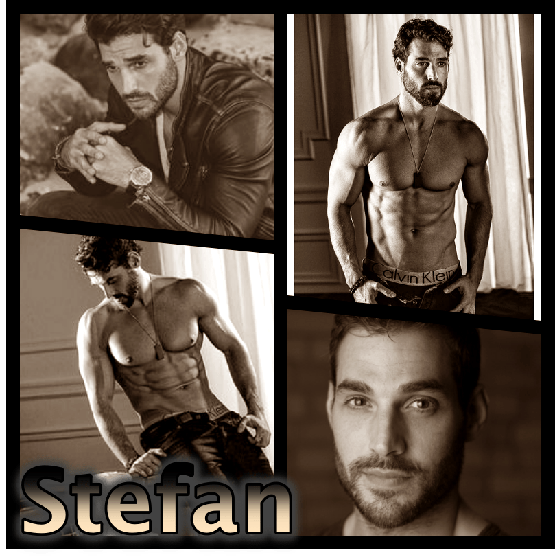 collage Stefan