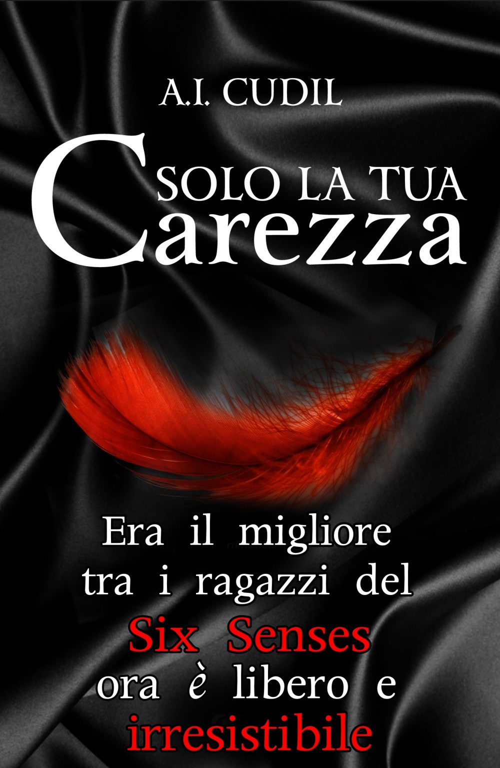 teaser solo_la_tua_carezza_cop