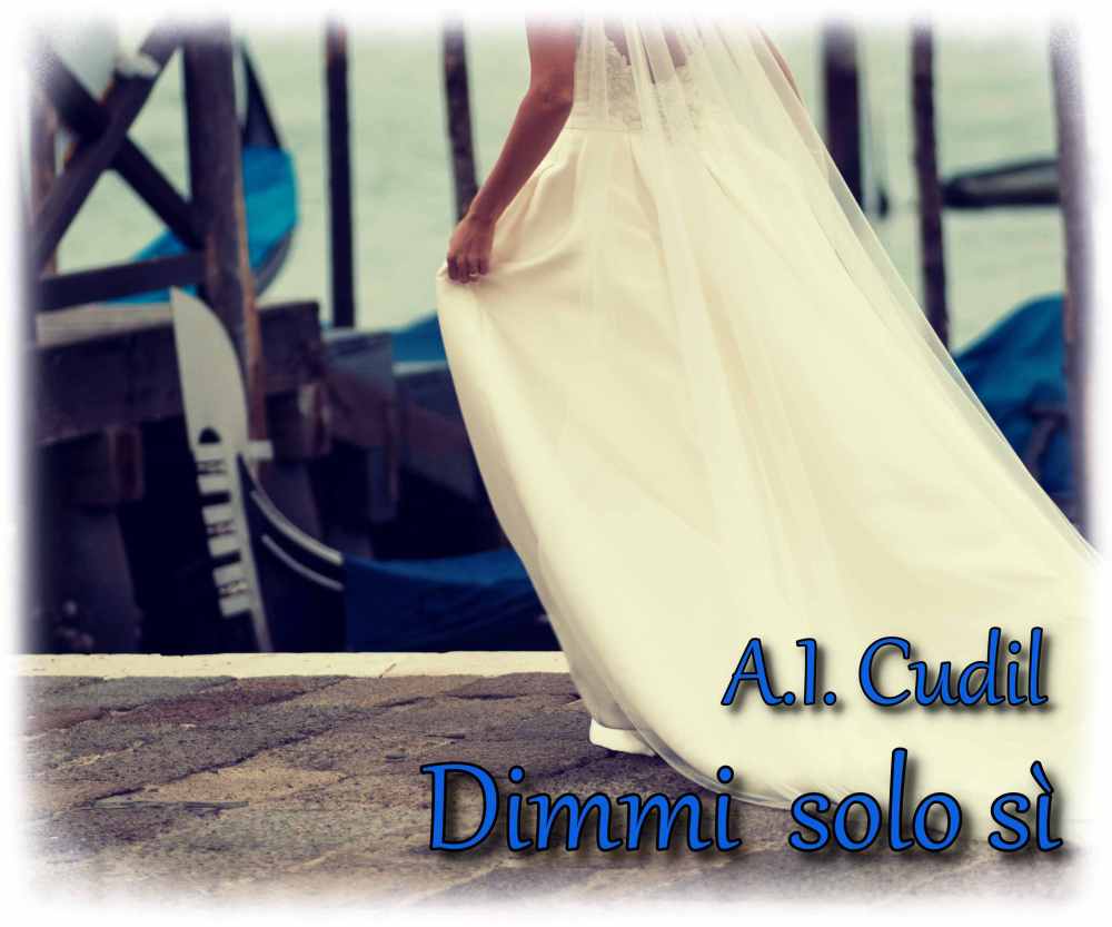 Beautiful wedding in Venice, bride back view