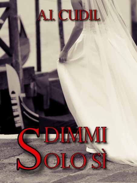 Beautiful wedding in Venice, bride back view